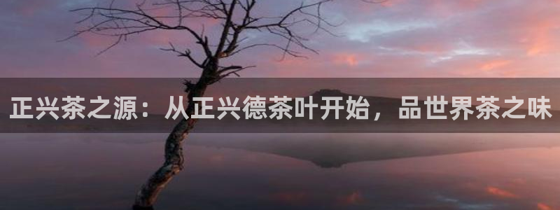 安信娱乐12登录地址