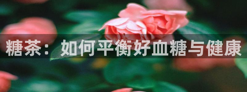 安信12注册登录