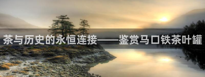 安信12官方网站查询