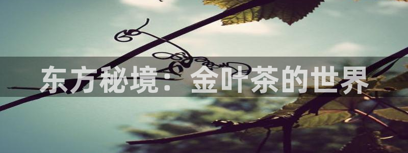 安信12如何开代理