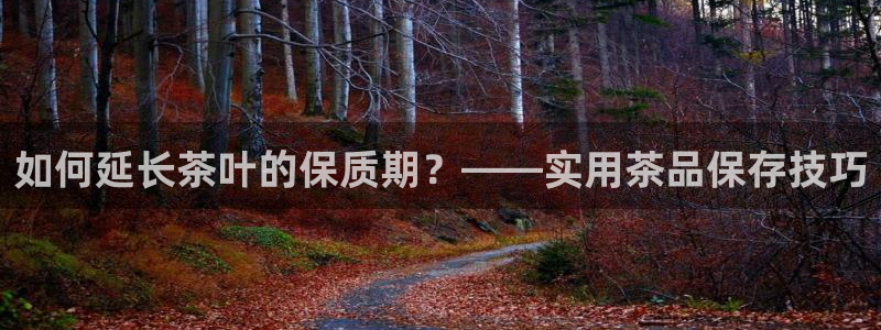 安信招商rk金12手12指jc