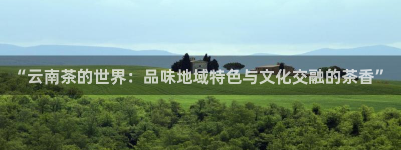 安信主管su金12手12指tq