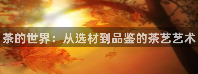 安信锐赢134号12月