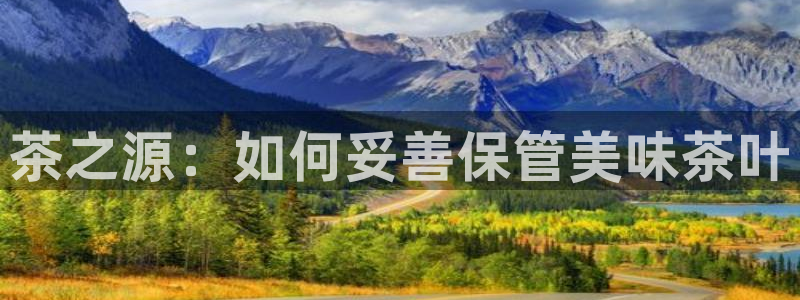 安信12怎么注册