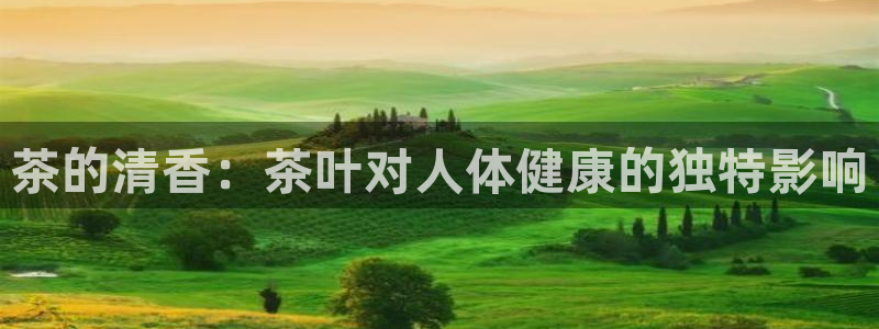 安信12平台下载