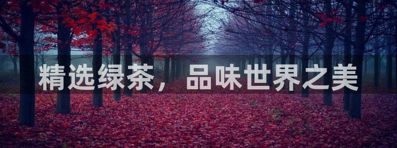 安信12娱乐招商