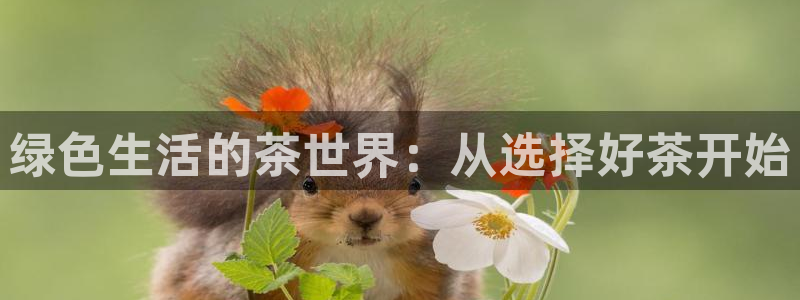 安信12娱乐登录