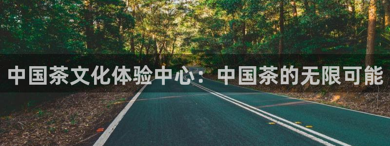 安信12如何开代理