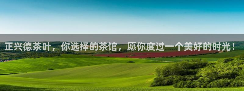 安信12平台怎么样