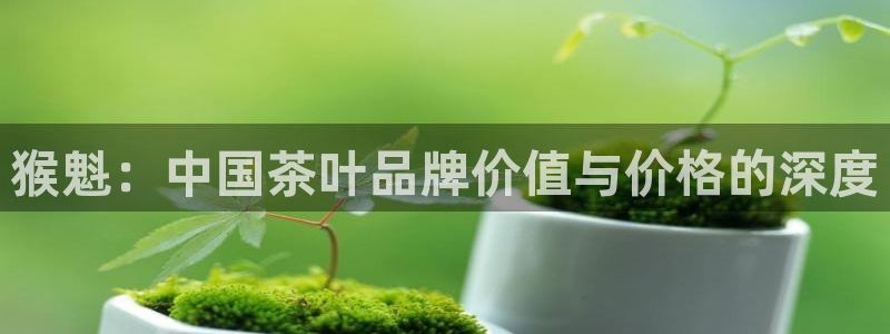 安信主管su金12手12指tq