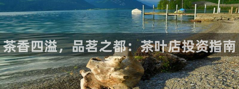 安信12软件介绍