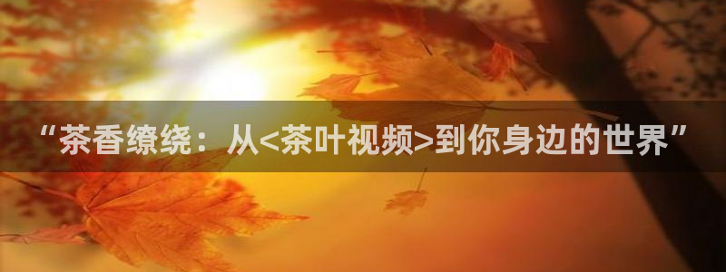 安信12平台注册