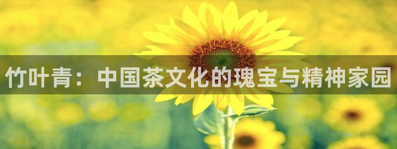 安信122853179Z空间