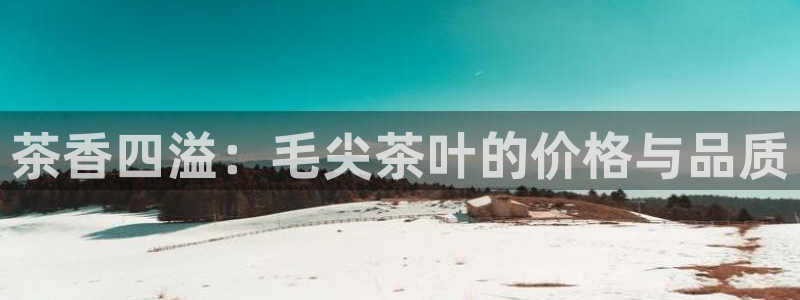 安信安翼 12账号