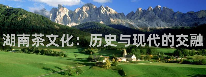 安信12官方下载