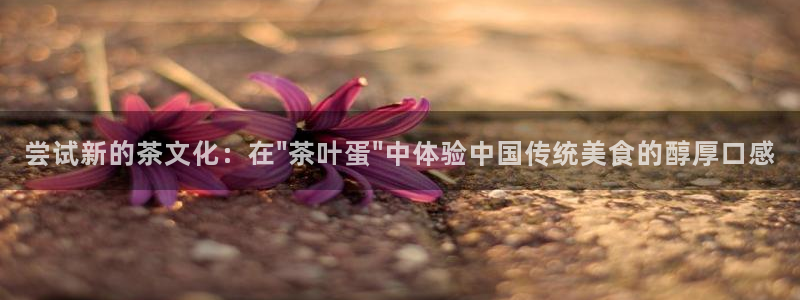 安信12彩票app下载