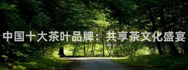 安信12彩票在线网址