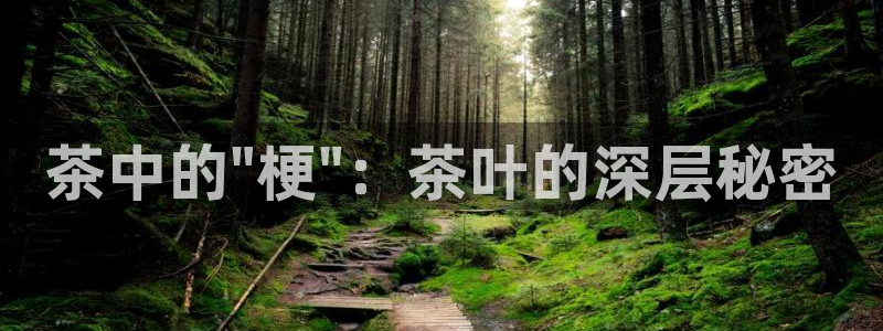 安信主管ke金12手12指ho