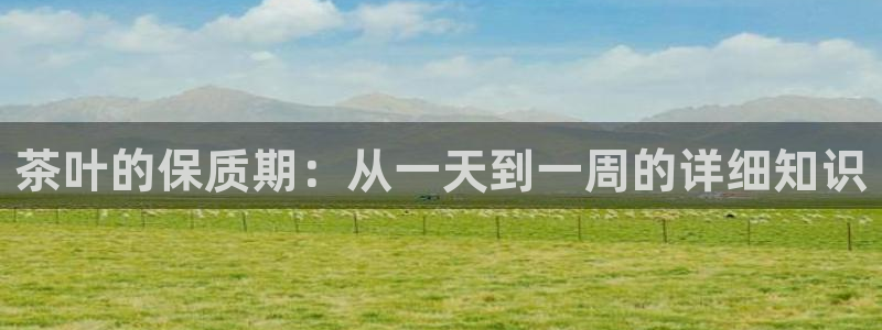 安信12正版下载