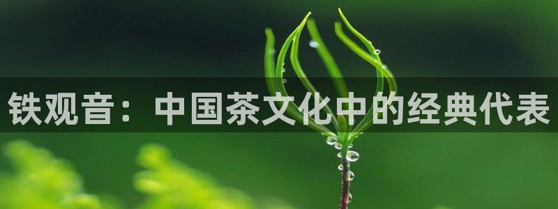 安信12娱乐主管