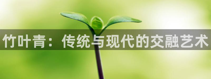 安信12娱乐登录