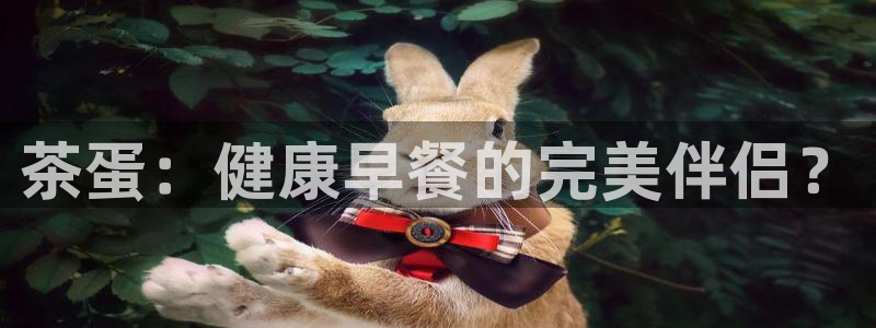 安信12娱乐代理