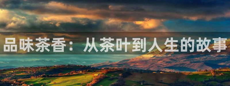 安信12登录网址