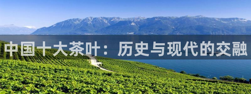 安信12平台介绍