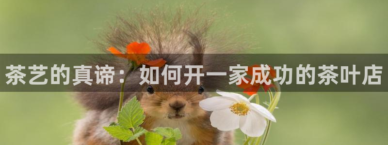 安信12是正轨网站吗