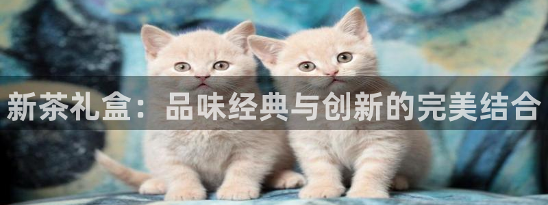 安信12娱乐注册