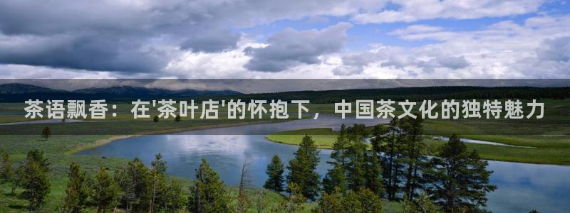 安信12如何开代理