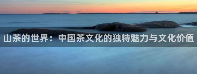 安信12平台注册