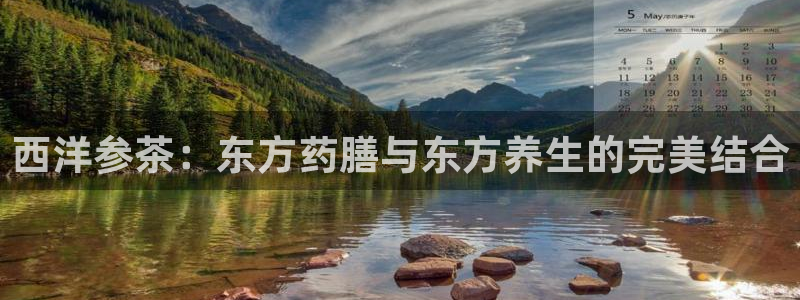 安信12是做什么