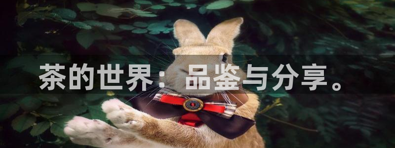 安信12登录网址