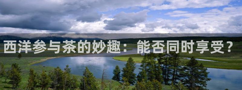 安信12级粉丝团福利