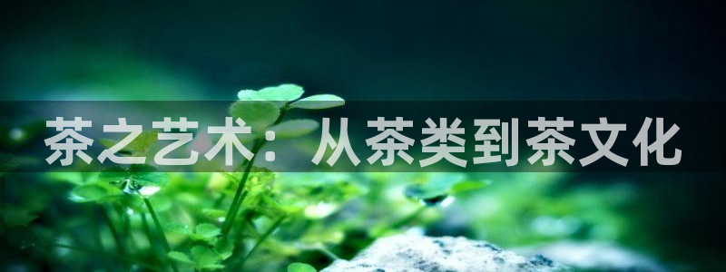 安信12娱乐招商