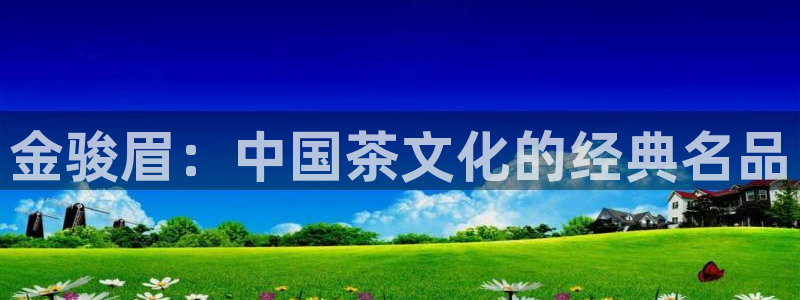 奇安信12流转场