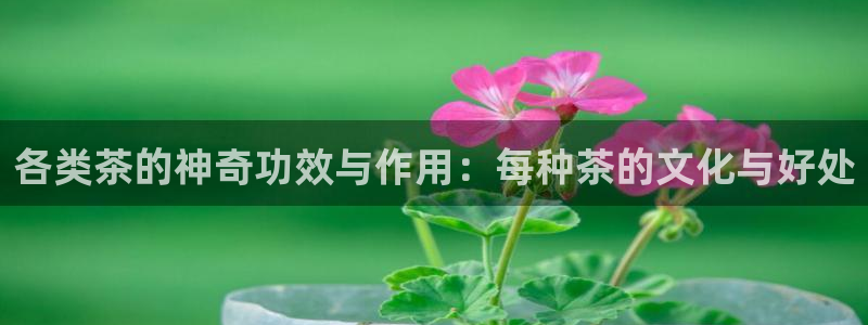 安信娱乐12登录地址