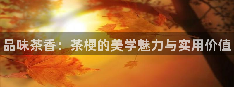 安信12注册登录下戴
