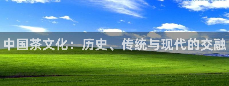 安信12周年庆典