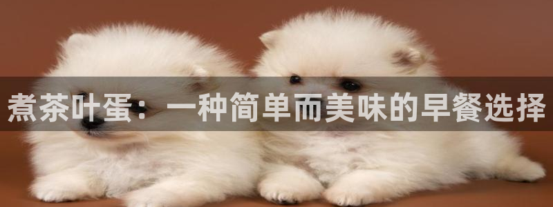 安信证券手机壳12