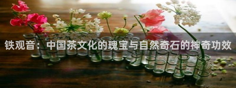 安信12是正轨网站吗