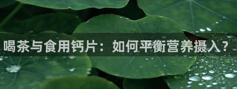 安信12平台官网