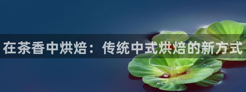 安信12是什么平台