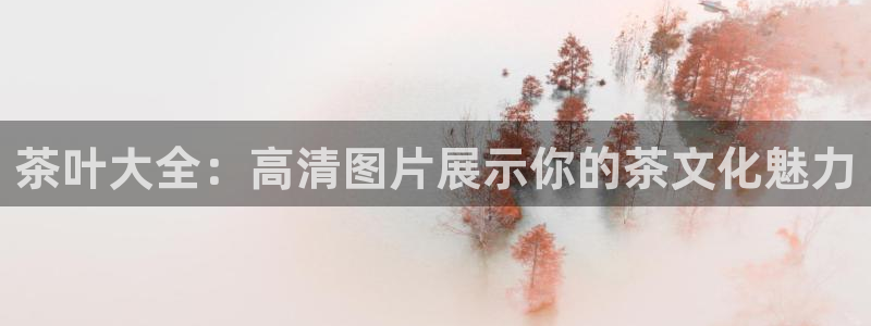 安信12注册登录下戴