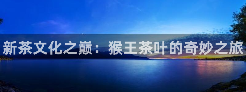 安信12级粉丝团福利