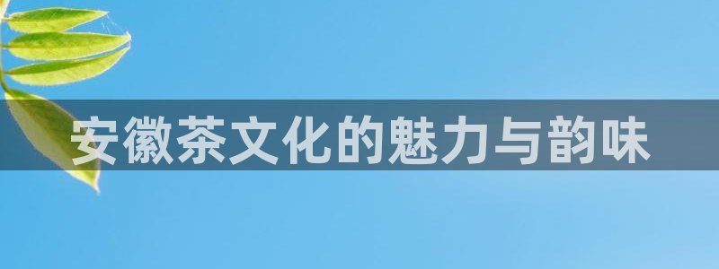 安信12娱乐登录
