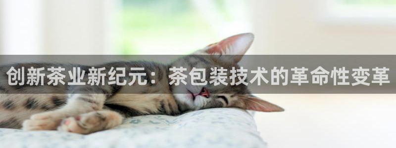 安信证券 12位