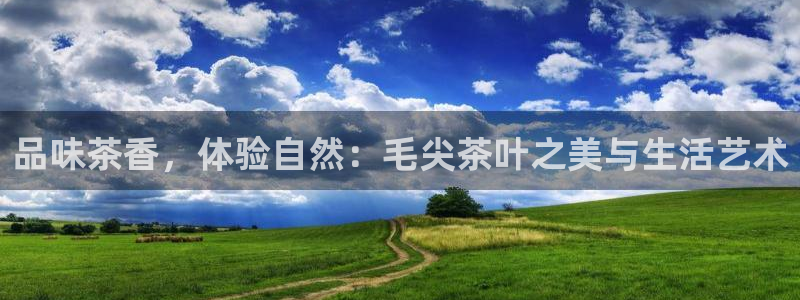 安信312 12