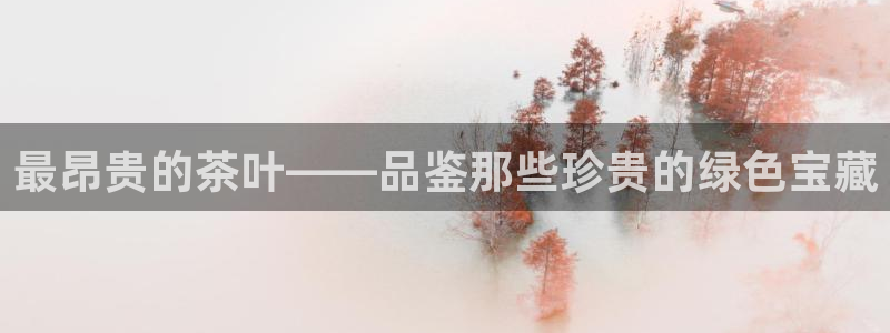 安信12周年庆典